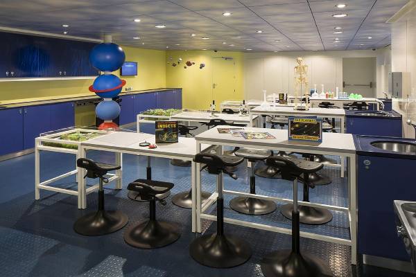Spectrum of the Seas Gallery Image